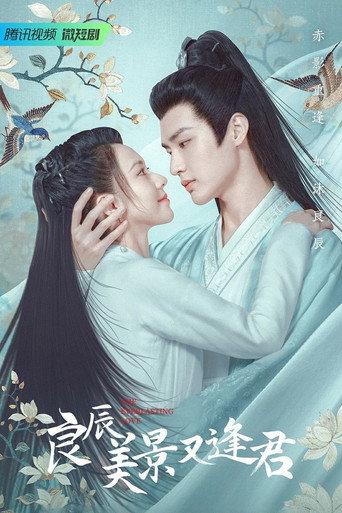Póster de The Everlasting Love