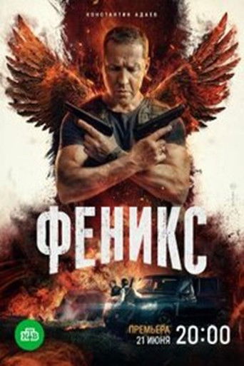 Póster de Феникс