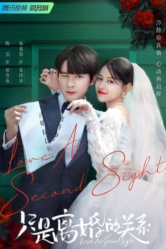 Póster de 只是离婚的关系