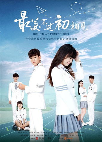 Póster de 最美不过初相见