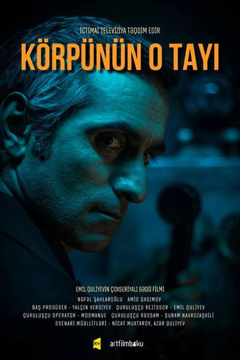 Póster de Körpünün O Tayı