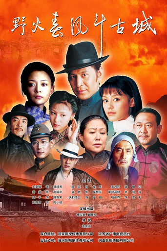 Póster de 野火春风斗古城