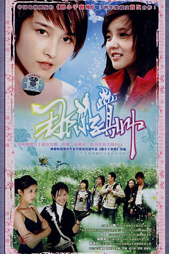 Póster de 那小子真帅