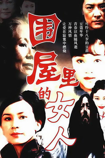 Póster de 围屋里的女人