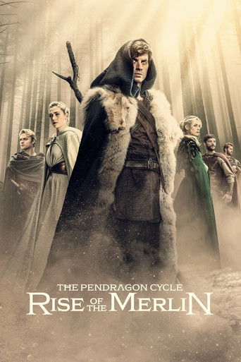 Póster de The Pendragon Cycle: Rise of the Merlin