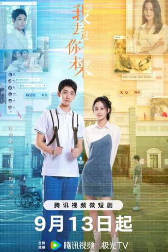 Póster de 我去过你的未来