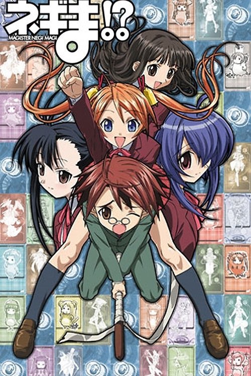 Póster de ネギま!?