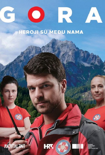 Póster de Gora