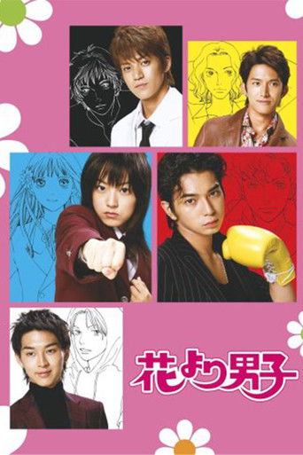 Póster de BOYS OVER FLOWERS