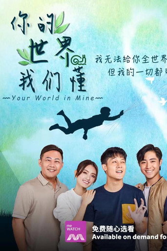 Póster de 你的世界我们懂