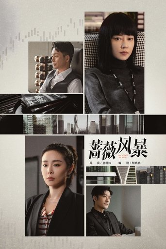 Póster de 蔷薇风暴