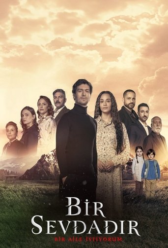 Póster de Bir Sevdadır