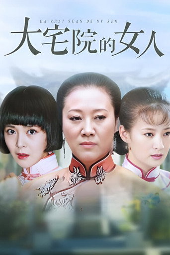 Póster de 大宅院的女人