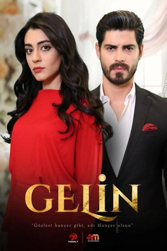 Póster de Gelin