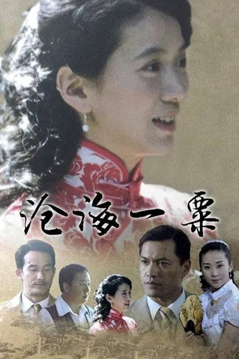 Póster de 沧海一粟