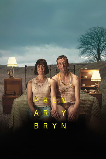 Póster de Pren ar y Bryn