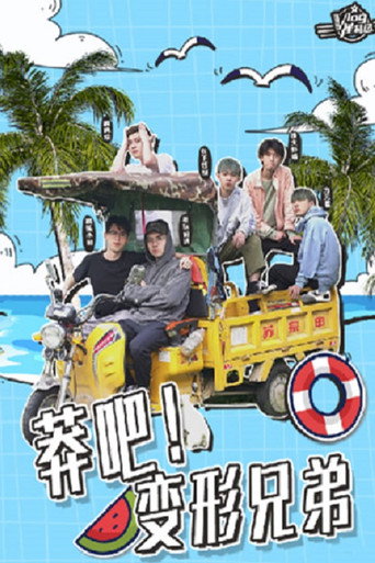 Póster de 莽吧！变形兄弟