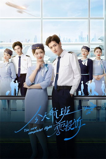 Póster de The Zero Complaint Flight