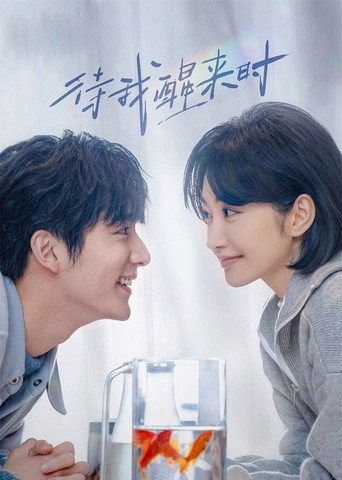 Póster de 待我醒来时