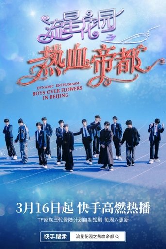 Póster de 流星花园之热血帝都
