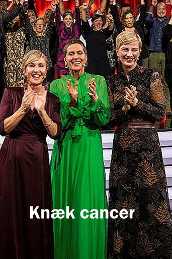 Póster de Knæk Cancer