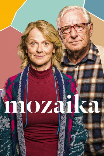 Póster de Mozaika
