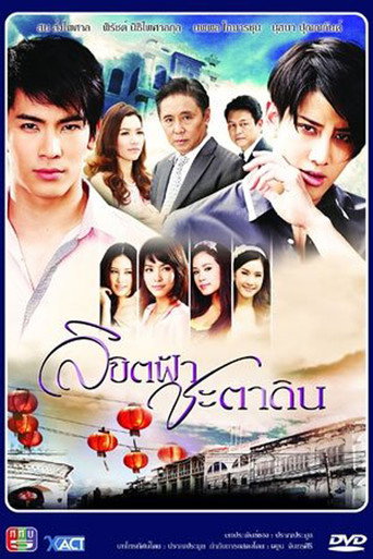 Póster de ลิขิตฟ้าชะตาดิน
