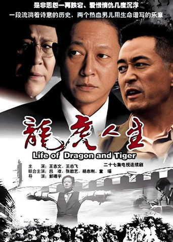 Póster de 龙虎人生