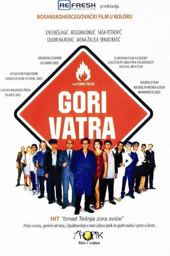 Póster de Gori vatra
