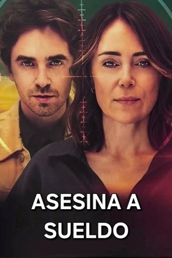 Póster de The Assassin