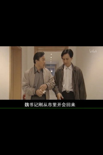 Póster de 县委书记