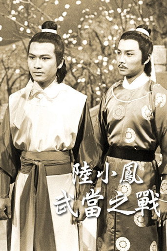 Póster de 莫染