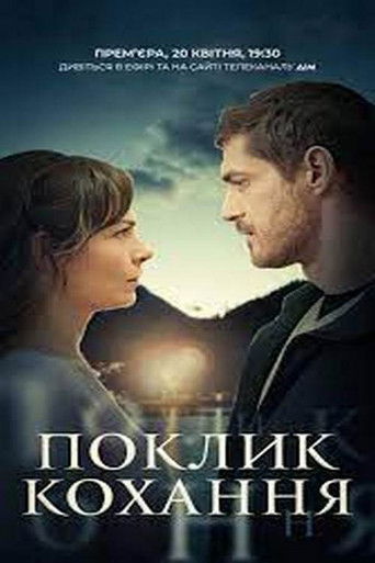 Póster de The Call of Love