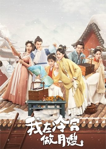 Póster de 我在冷宫做月嫂