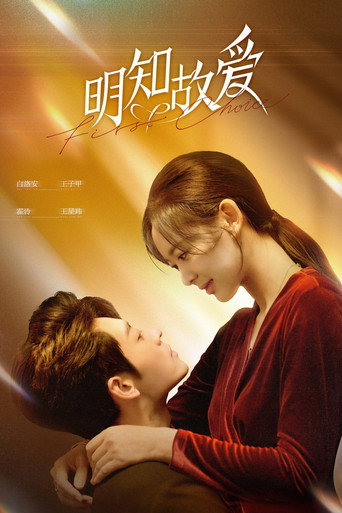 Póster de 明知故爱