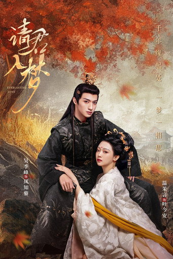 Póster de 请君入梦