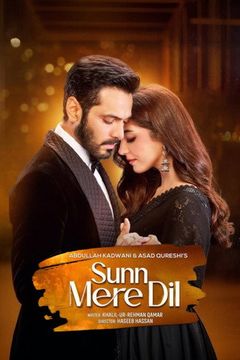 Póster de Sunn Mere Dil