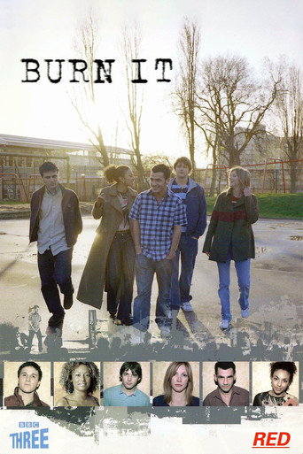 Póster de Burn It