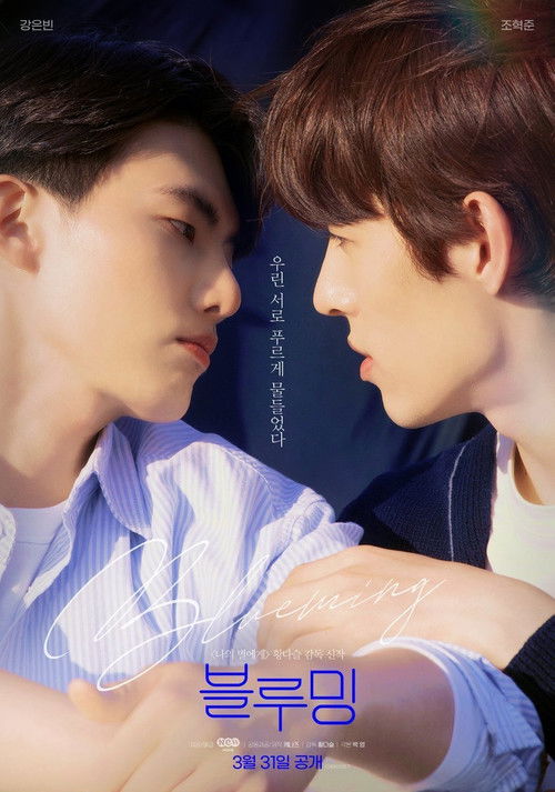 Póster de 블루밍