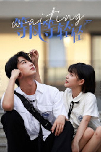Póster de 等风等轻轻