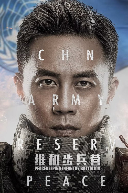 Póster de 维和步兵营