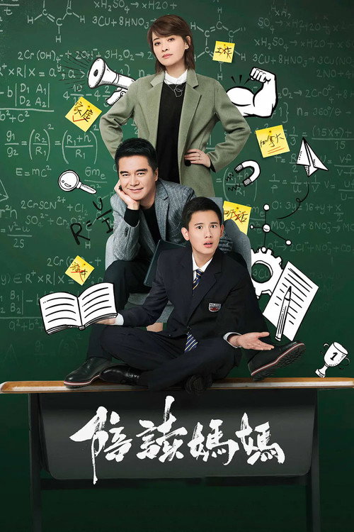 Póster de 陪读妈妈