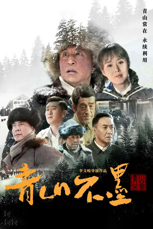 Póster de 青山不墨