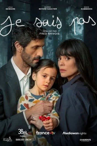 Póster de Je sais pas