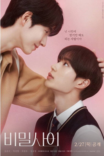 Póster de Secret Relationships