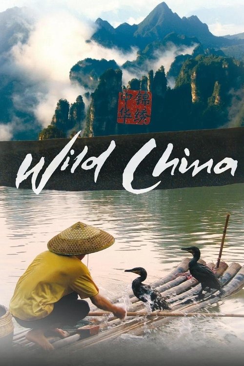 Póster de Wild China
