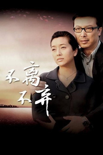 Póster de 不离不弃