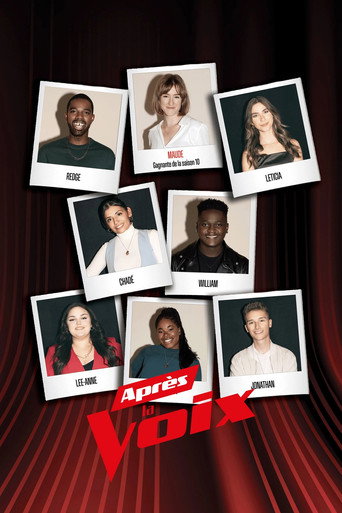 Póster de Après la voix