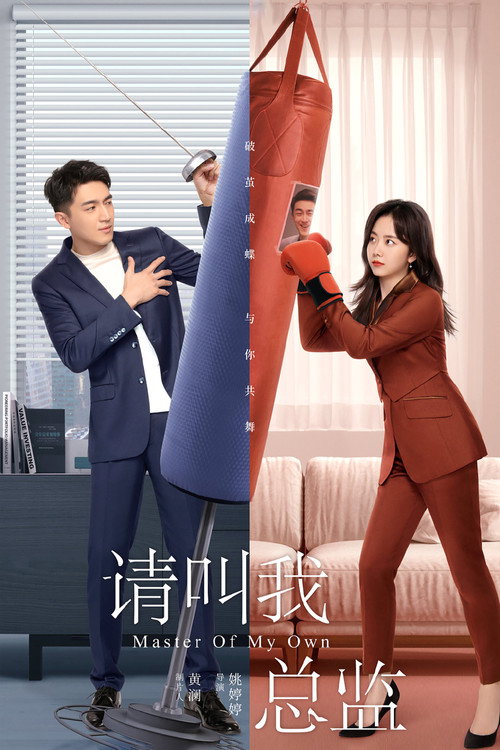 Póster de 请叫我总监