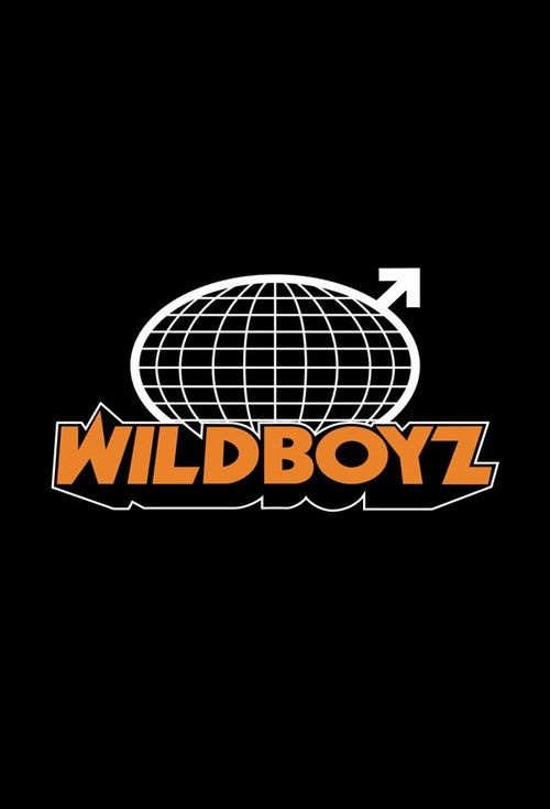 Póster de Wildboyz